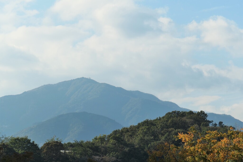 大山の奇跡？