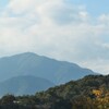 大山の奇跡？