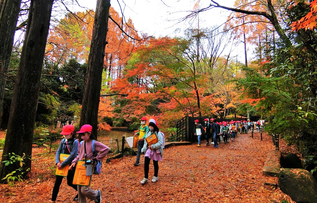 生田キッズ