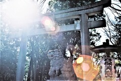 ヤシカML35-105㎜F3.5/4.5