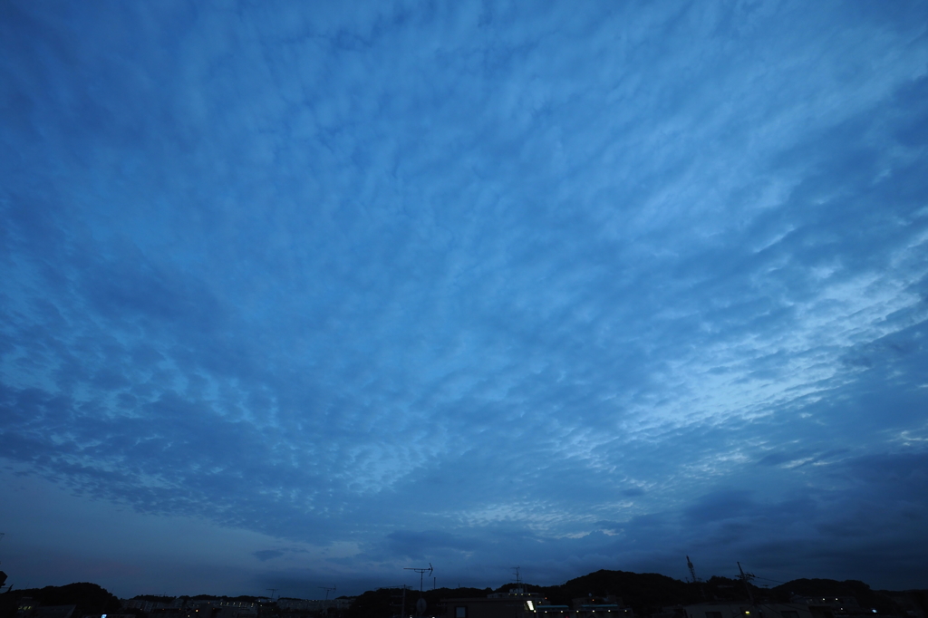 夜の鱗