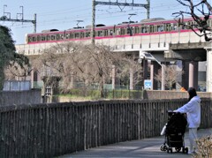 電車を眺める若いママ