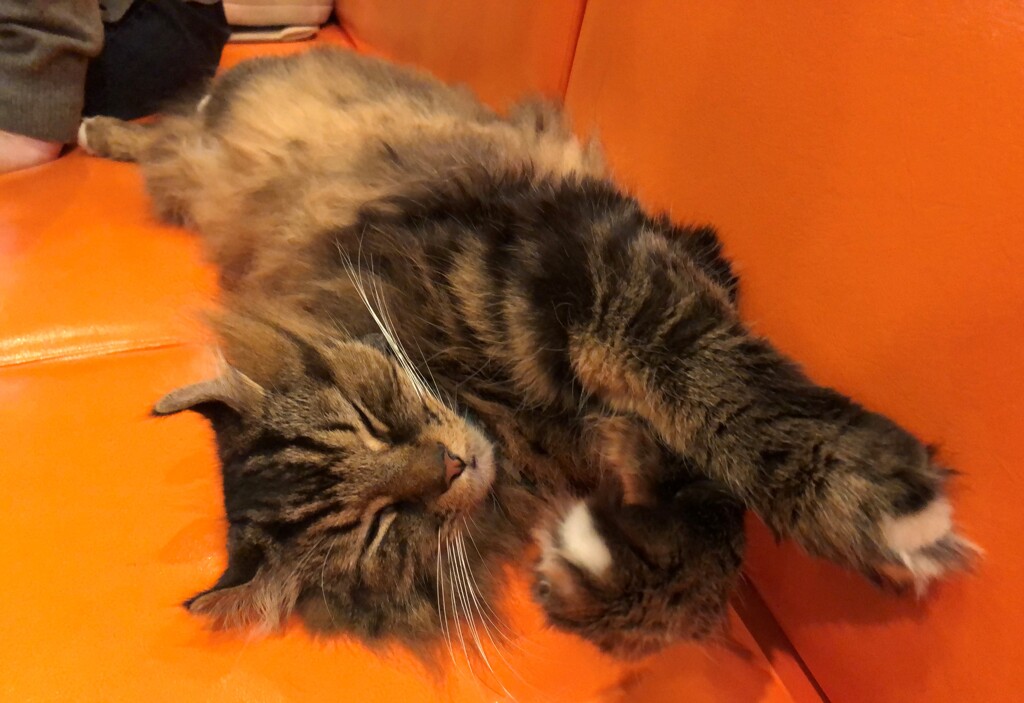 このポージングが多かった