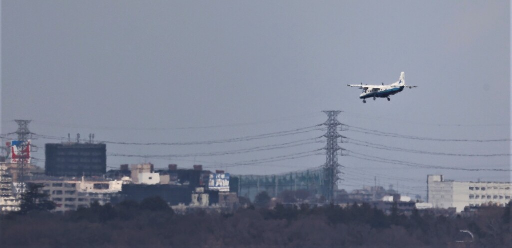 早い到着