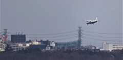早い到着