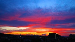 やっぱり炎上