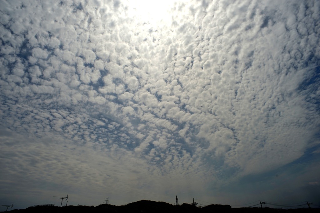 春のうろこ雲