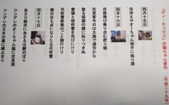 猫の俳句、始めました