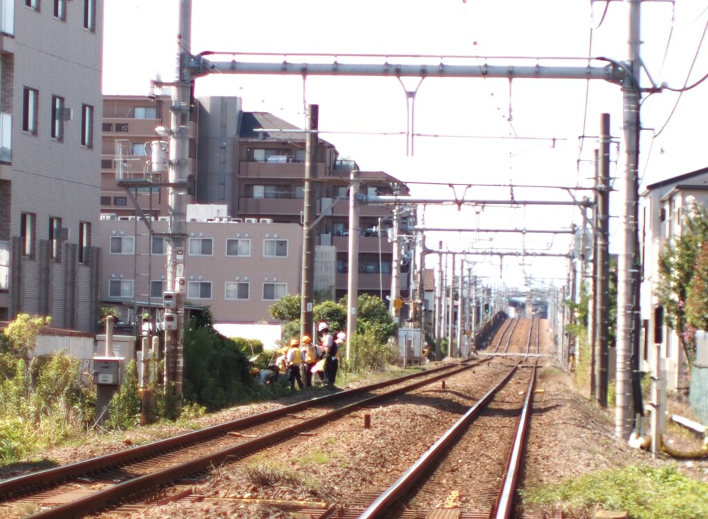30％切出し