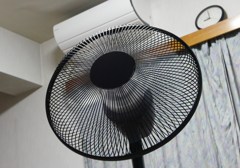 いざとなったらオマエが頼り
