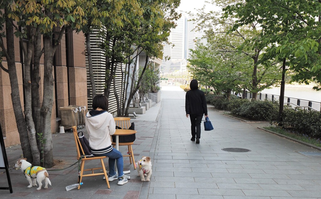 憩いのひと時