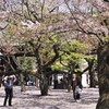 気づいたこと