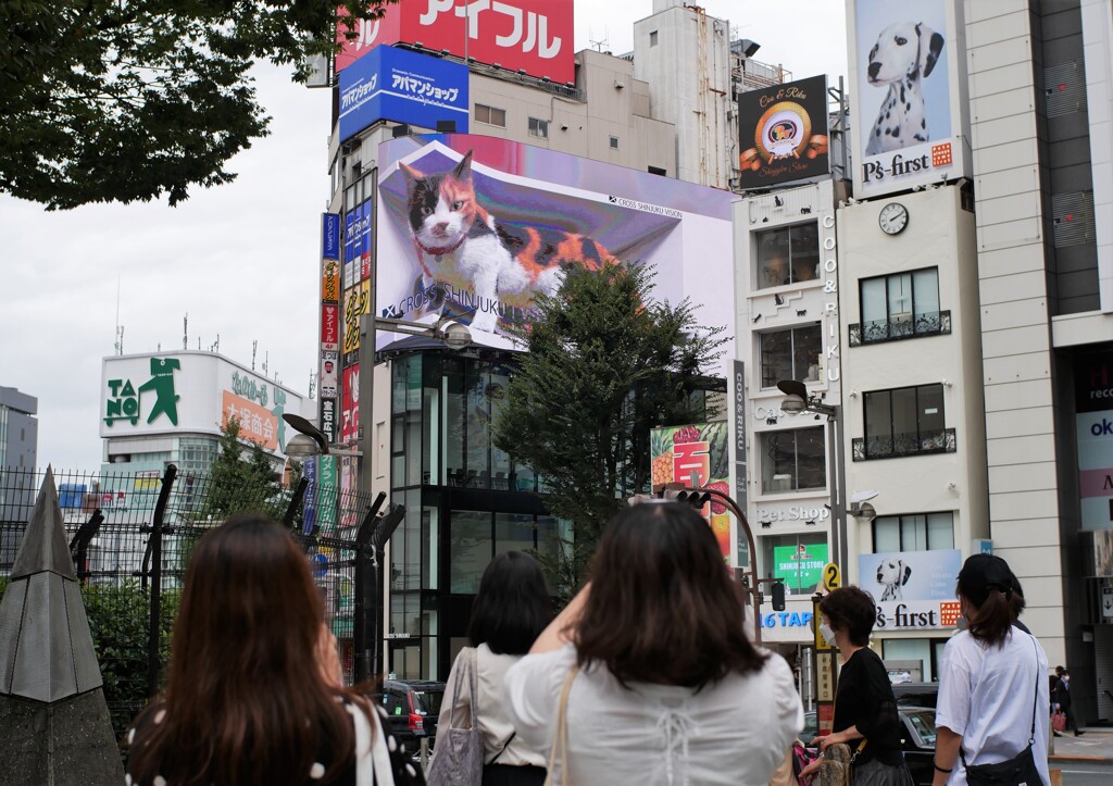 新宿東口のヒロイン