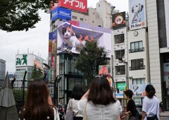 新宿東口のヒロイン