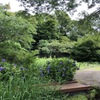 静謐な日本庭園