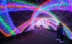 若いカップルが目立ちました