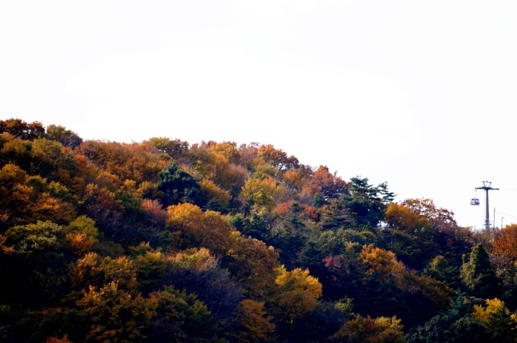 秋色に染まって