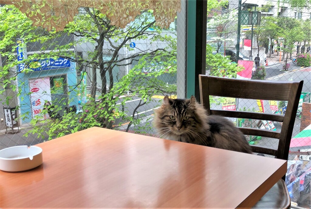初日に見回り隊