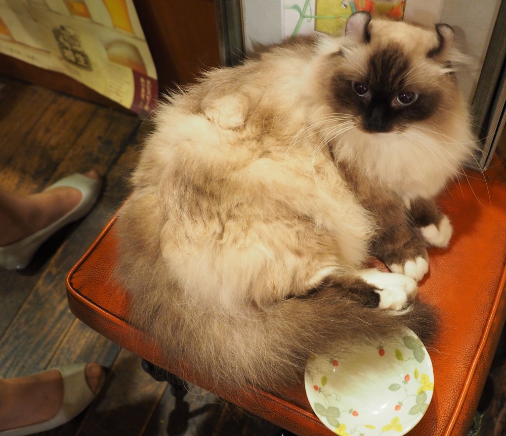 オーちゃんとカトリーヌさん