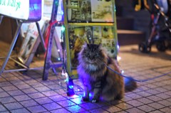 カイ君カッコいい !!