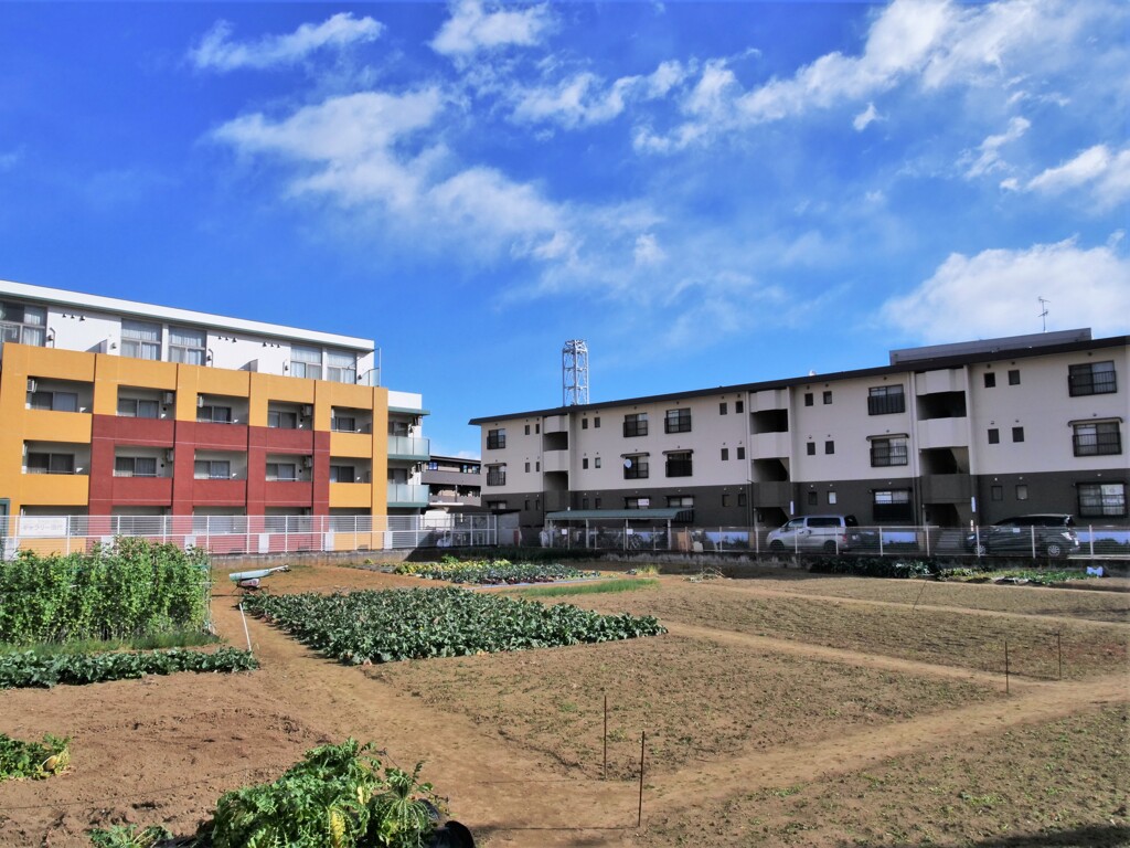 減少する市街化区域内農地