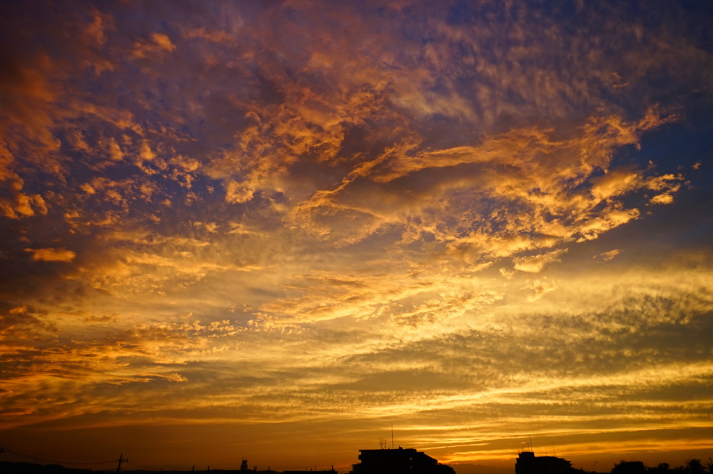 遣らずの夕焼け