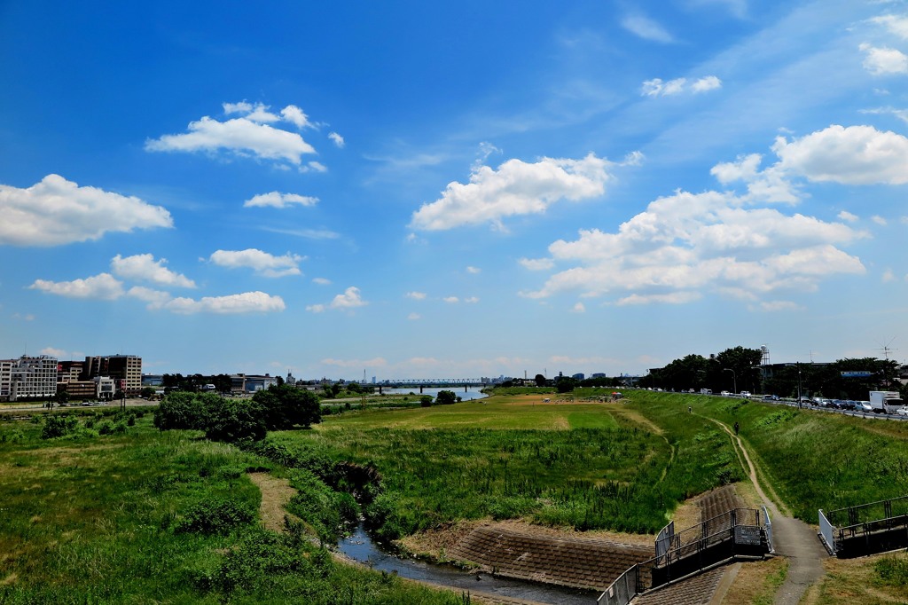 多摩川散歩