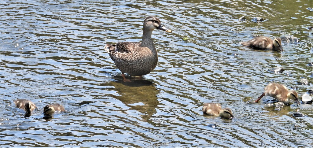 どんなに暑くても