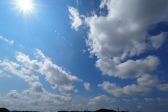 明日は夏目雅子の命日