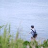 釣り人もチラホラ