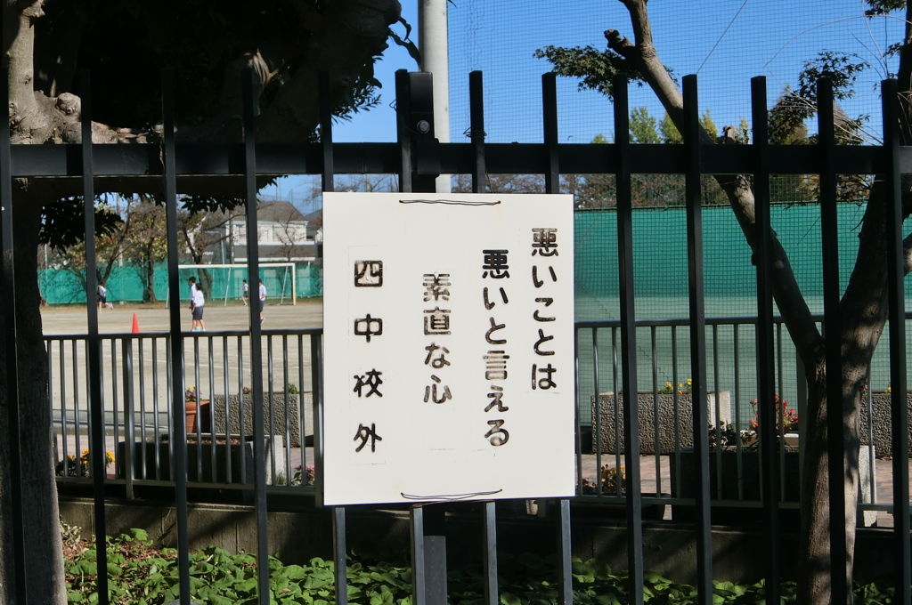 そうだけど…