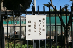 そうだけど…