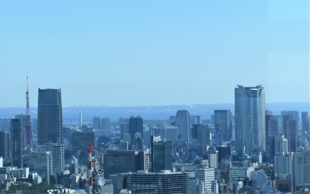 東京タワーと六本木ヒルズタワー
