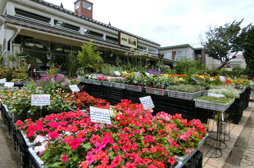 山手の花屋さん