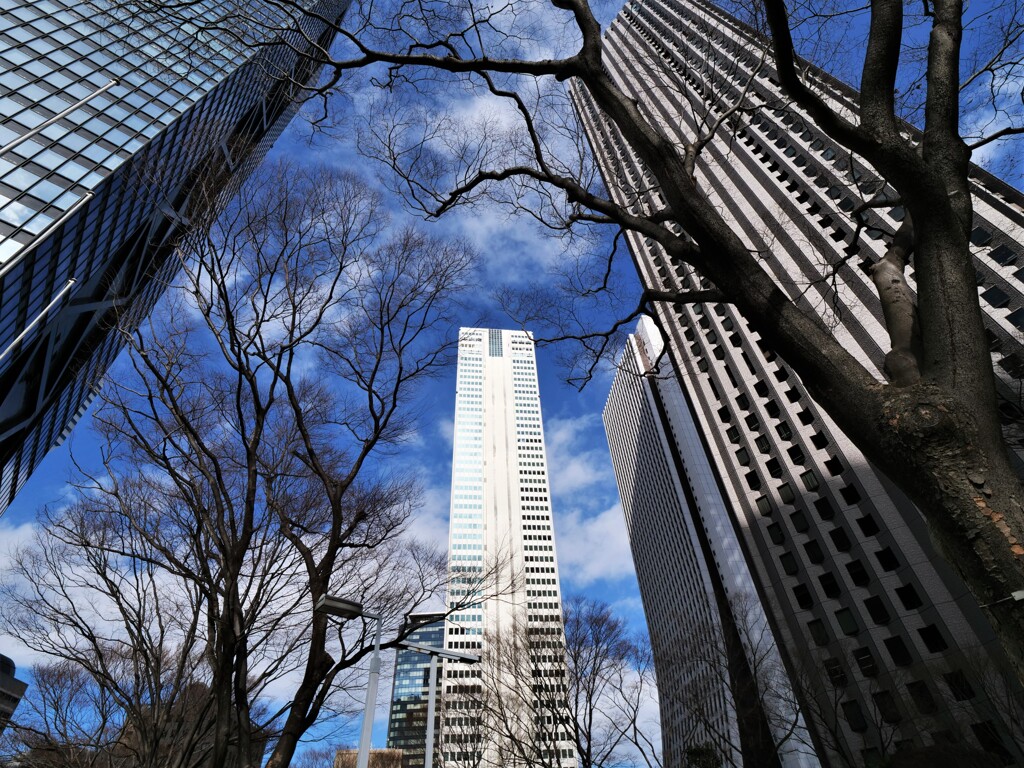 高層の墓場