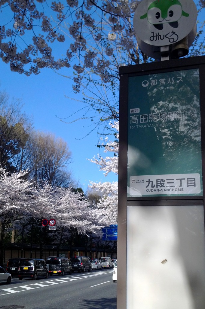 九段の桜　スマホバージョン
