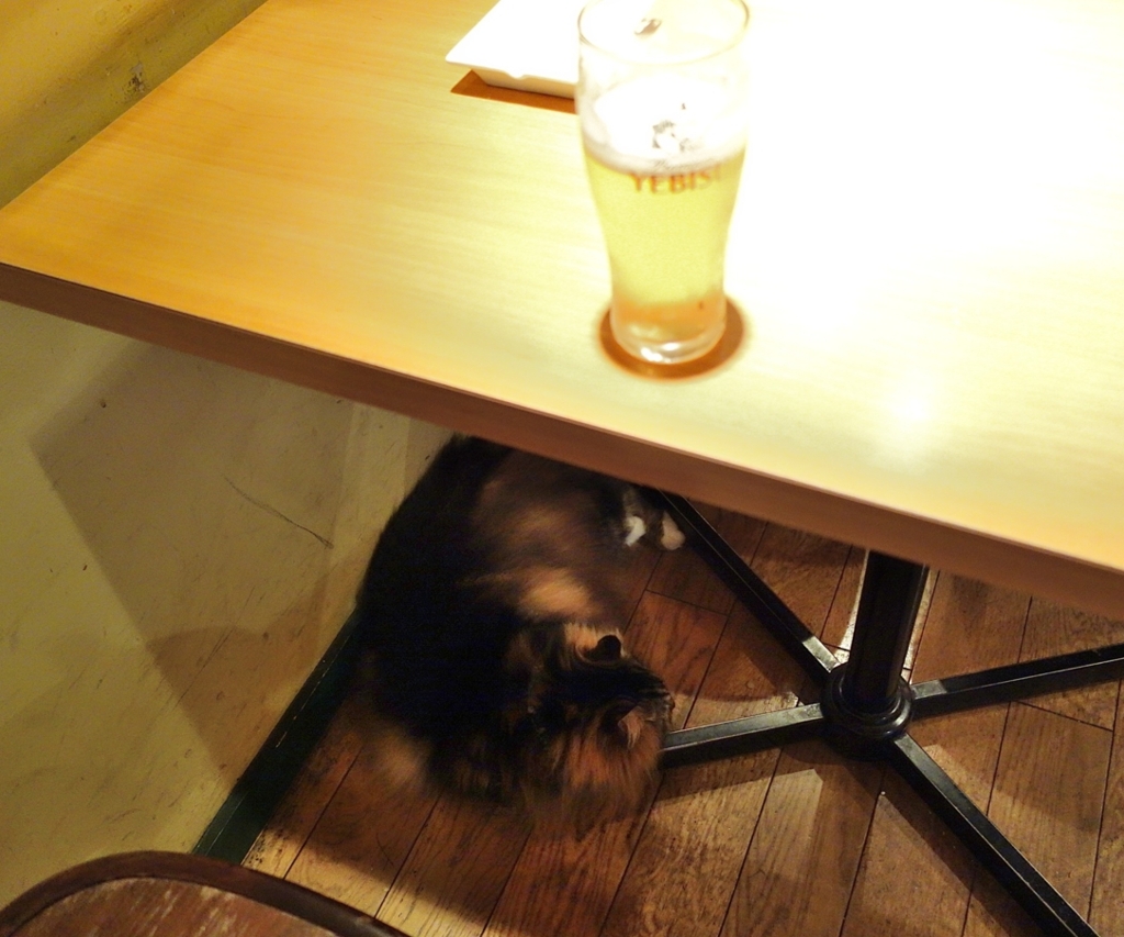 そんなとこで寝ちゃダメだよ