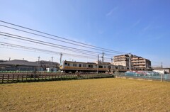 シグマ8-16mmF4.5/5.6と散歩