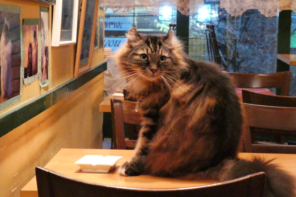 いま降りるってば