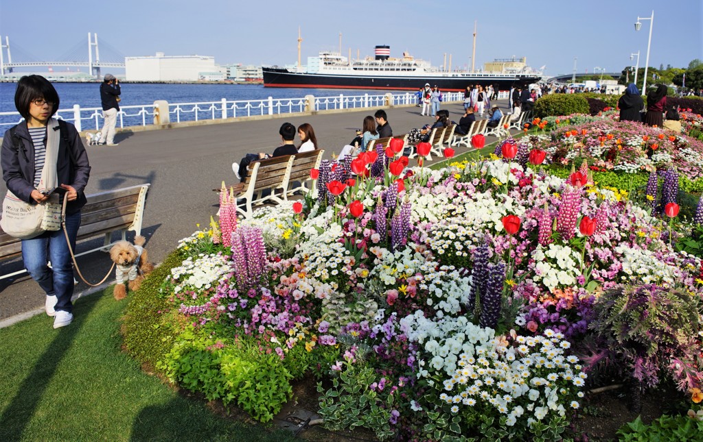 愛犬と撮りたい