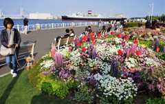 愛犬と撮りたい