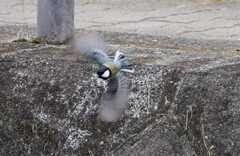 フルスロットル