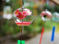 明るい単焦点は