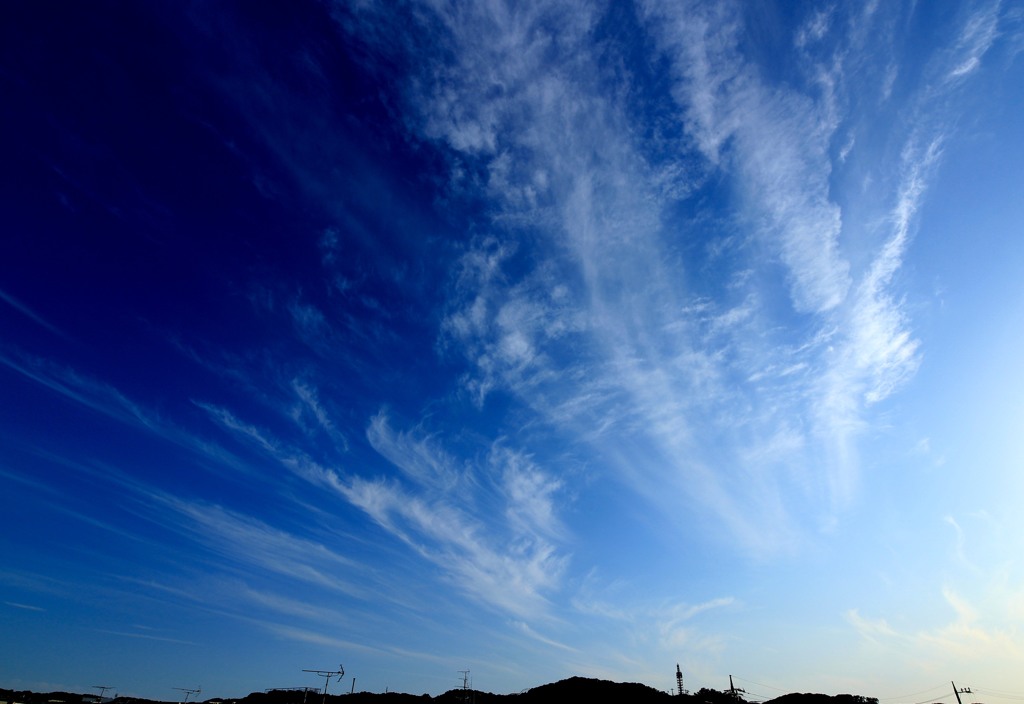 多摩川散歩