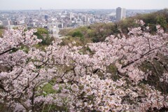 快晴であれば