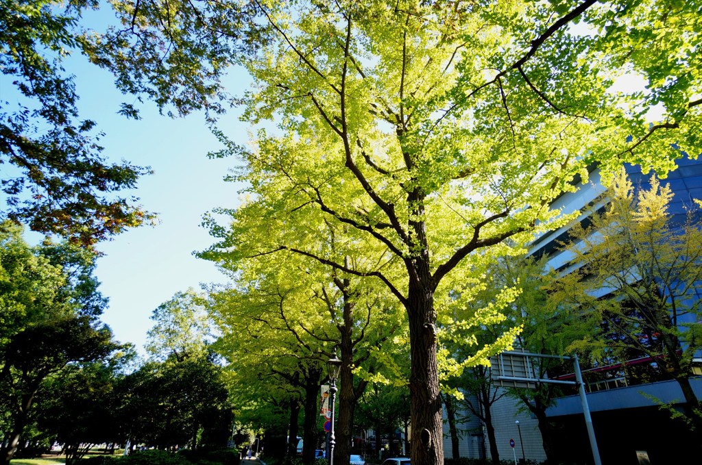 碧い横浜