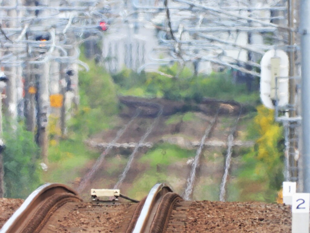 コース