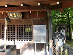 おたぬきさま