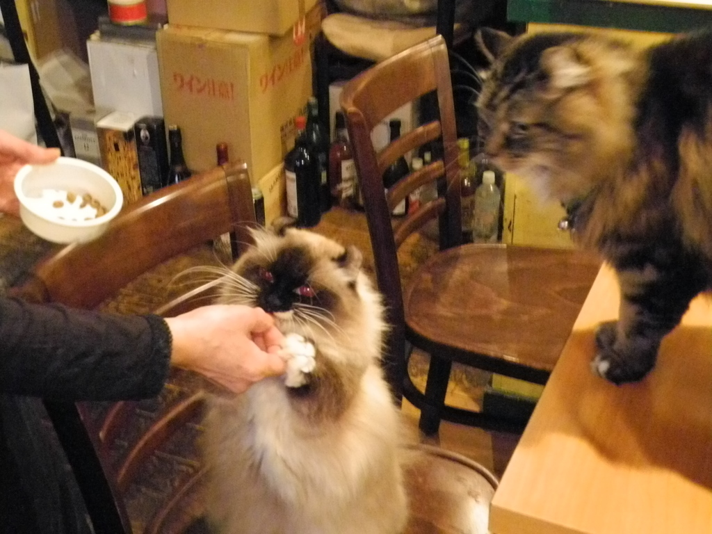やるか！