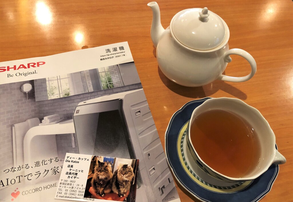 紅茶と洗濯機と猫と私